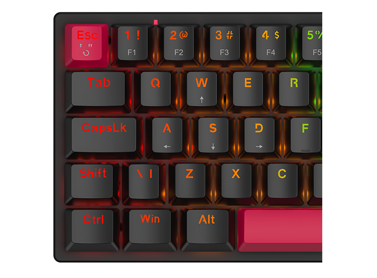 Z590
